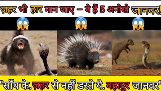 5 Animals That Defeat Snake Venom