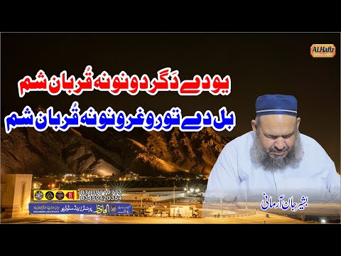 Yu Dy Da Gardono Na Qurban Sham || Hafiz Bashir Jan Armani || Pashto HD 2025 Naat