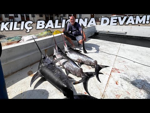 KILIÇ BALIĞI AVINA PARAGATLARLA DEVAM EDİYORUZ! | 4.SEZON 4.BÖLÜM