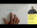 Gas Laws and Volume Relationships