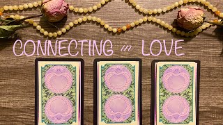 ✨🪴💞 Pick A Card May Connection and LOVE | Tarot Prediction 💞🪴✨