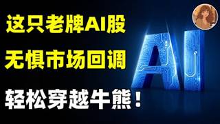 美股大幅回调？ 泡沫破裂还是黄金坑机会？ 这只被遗忘20年，被严重低估，即将迎来双重戴维斯双击的AI巨头黄金坑出现了！轻松穿越牛熊CSCO.DELL.IBM.ORCL.MRVLKEYS#ai #美股