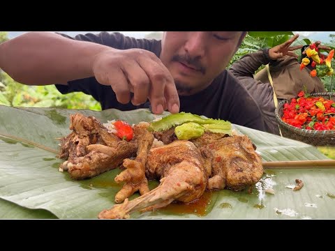 King chilly harvesting || eating tender chicken || harvesting organic vegetables.