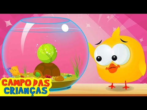Lucky Ducky e o pote de peixe | Desenho animado divertido por Campo das Crianças