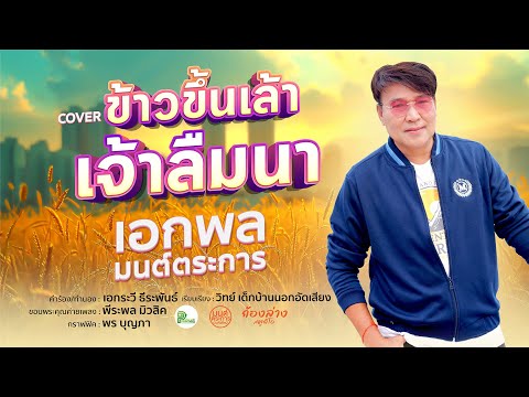 ข้าวขึ้นเล้าเจ้าลืมนา ศิลปิน เอกพล มนต์ตระการ ( Cover)