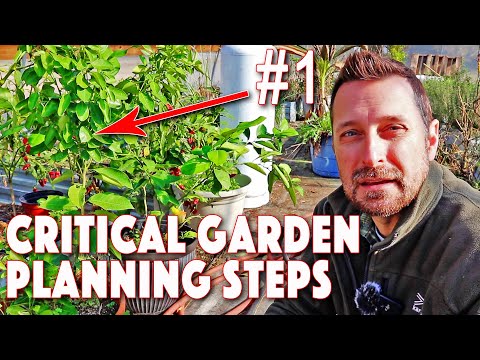 2025 Vegetable Garden! 6 CRITICAL Planning Steps! This Is The Perfect Time To Start!