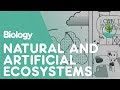 Characteristics and Differences of Ecosystems