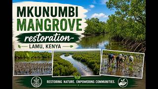 Mkunumbi Mangrove Restoration