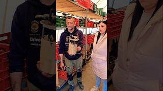 #shortvideo #shorts #funny