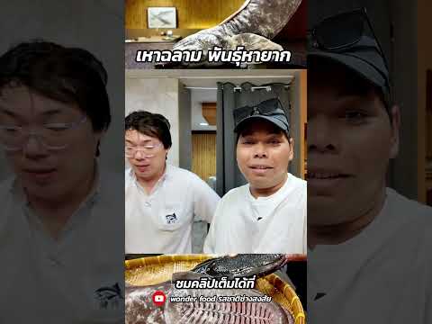 เหาฉลามหายาก #รสชาติช่างสงสัย #wonderfood
