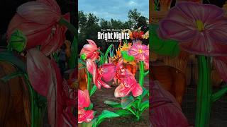 Bright Nights at Four Mile Historic Park| Denver’s original lantern festival experience #colorado