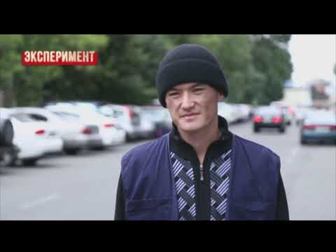 Фрагмент программы «Эксперимент», 2015 г.