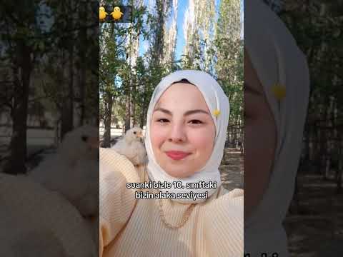 Alaka seviyesi #keşfet #kesfetteyiz #kesfetol #keşfetaçıl #tutartık #fyp #shorts #fypviral #öneçıkar