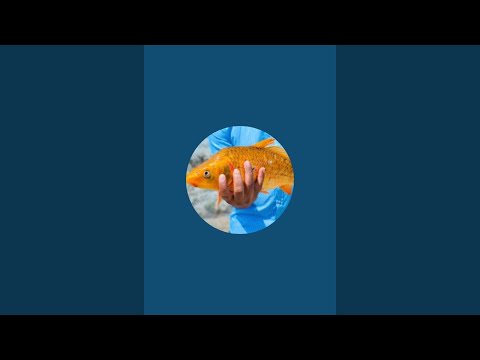 Cutting & Fishing withFM is live