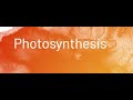 Photosynthesis Concepts and Processes