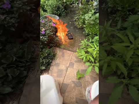 FOGO DE MAÇARICO NA TELA DO CELULAR INDESTRUTÍVEL! #viral #shorts #blackview