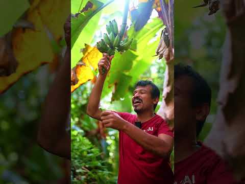 Raw Banana Beats Sweets You Won’t Believe This!