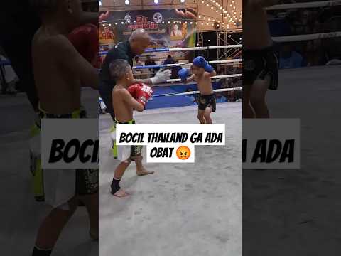 kick boxing thailand gaada obat 😡
