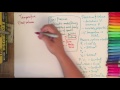 Gas Laws and Kinetic Theory