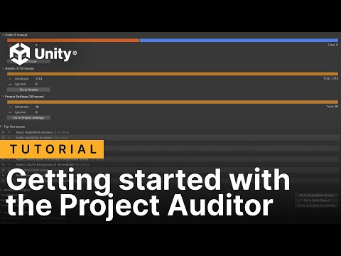 Getting started with the Project Auditor