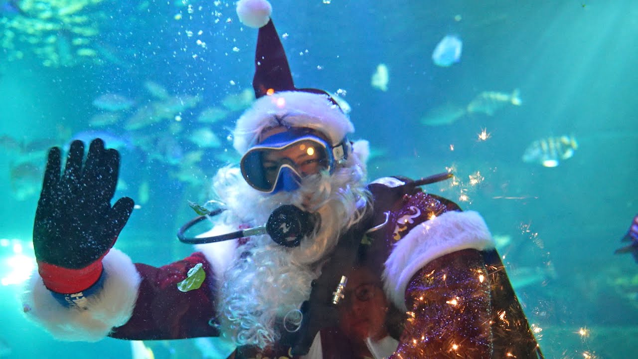 We Met Scuba Santa Claus At Sea Life Orlando & More Festive Fun At ICON Park On International Drive! The Tim Tracker