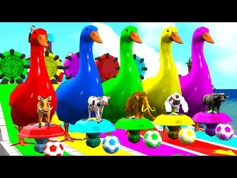 5 Giant Duck Cartoon,Cow,Elephant,Gorilla,Boar,Buffalo,Paint Wild Animals Crossing Fountain Animatio