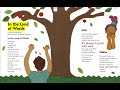 Understanding Poetry Elements and Techniques
