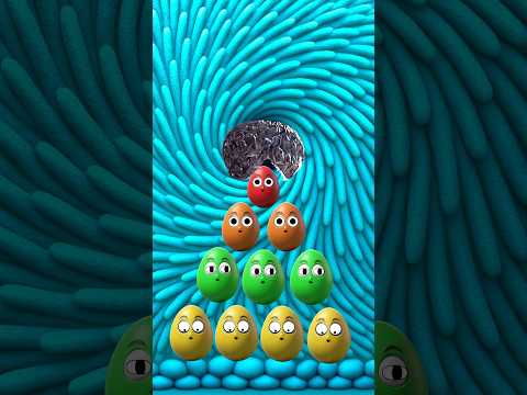 OH PacMan Eats & Hides #shorts #funny