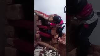 كربوشتي ومومو يلعبون ❤️🤳