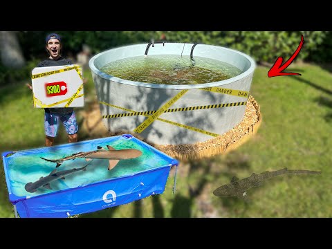 Saving SHARKS & FISH From ABANDONED Backyard SALTWATER POND!!