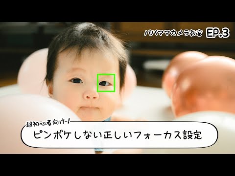 動く子どもでもピント迷子ゼロ！Nikon Z シリーズAF設定大全【パパママカメラ教室#3】
