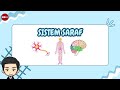 Kuis Sistem Saraf