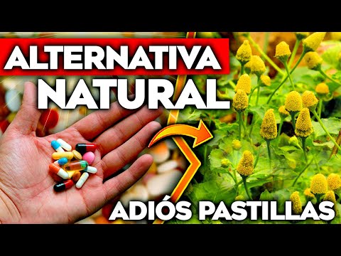 Adiós Pastillas! 5 PLANTAS MEDICINALES que los Médicos NO QUIEREN que CONOZCAS | Remedios Naturales