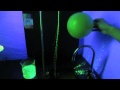 Water Molecule Properties and Experiments