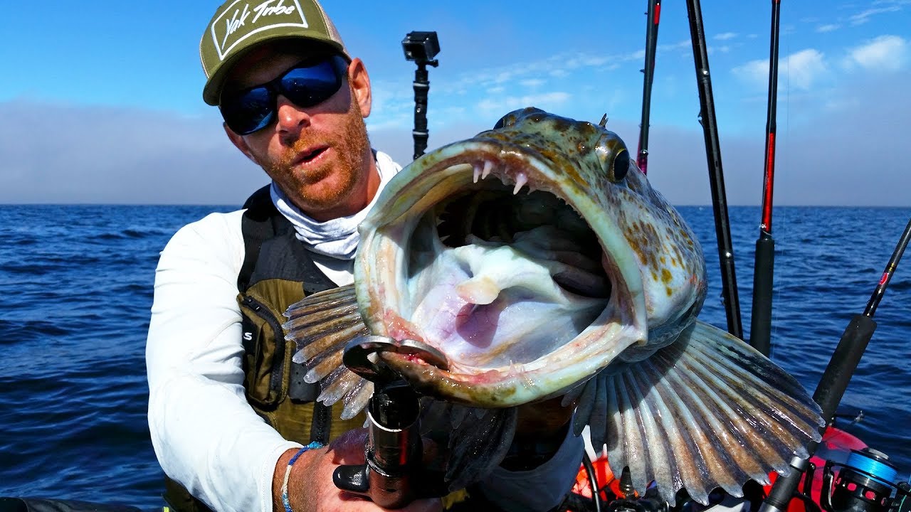Kayak Fishing for Lingcod in Great White Country #FieldTrips West Coast