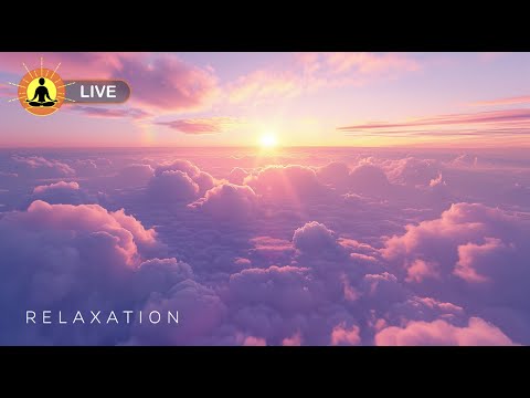 This live stream has ended. We will release a new version of this live stream soon. See link below.