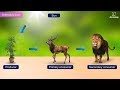 Understanding Plants and Photosynthesis