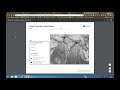 Understanding Plate Tectonics and Tsunamis