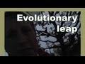 Evolution and Development of Multicellular Organisms