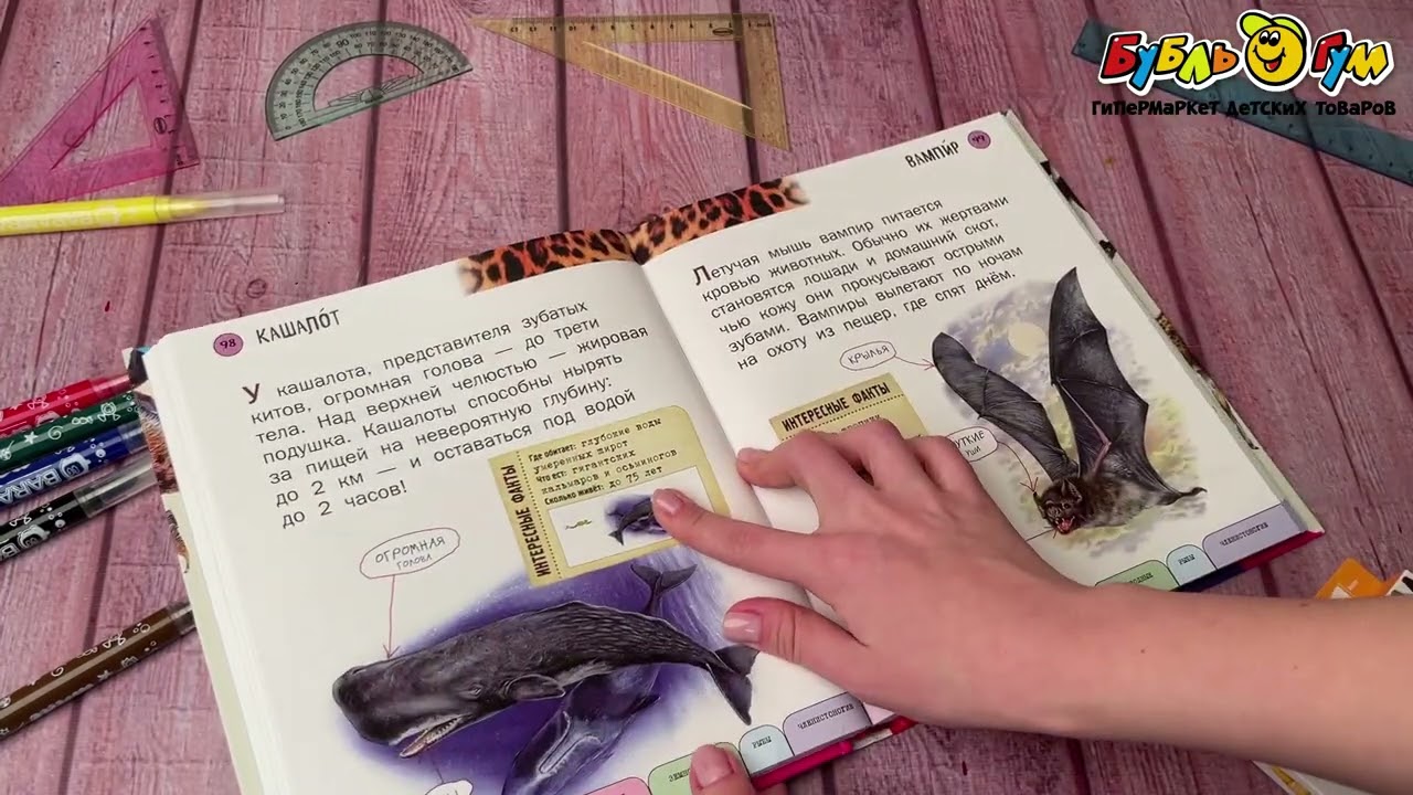 Книга Все животные с крупными буквами - видео Книга Все животные с крупными буквами - видео