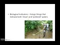 Water Quality and Aquatic Life