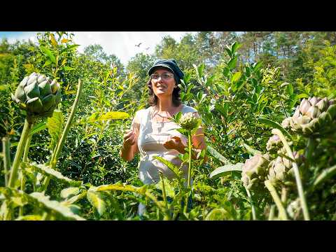 La SYNTROPIE va changer notre vision de L'AGRICULTURE à tout jamais