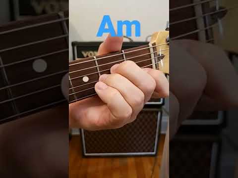 Guitar Lesson Am Chord #shorts #guitar #guitarlesson #beginners