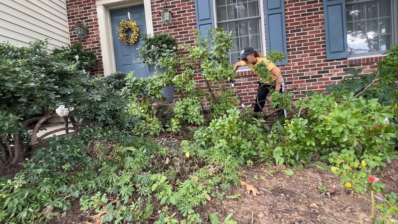 GARDEN RENOVATION AT MY PARENTS! Part 1: Site Analysis, Removing Old Shrubs, Planting Hydrangeas