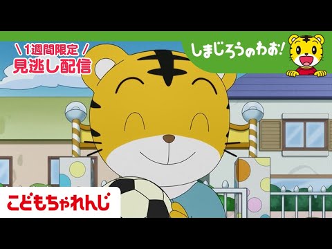 【見逃し配信】テレビ番組「しまじろうのわお！」#651 ｜ぼくの　とくいなこと【しまじろうチャンネル公式】