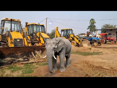 Jcb 3dx Machine Going To Another Village For Mud Loading With Mahindra and Swaraj Tractor | JCB