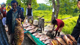 Amazing Big Koi Fish In Traditional Rare Road Village Fish Market in Sri Lanka