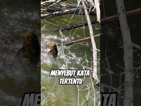 Larangan apa yang paling sering kamu dengar di spot mancing?