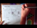 DNA Structure and Function Concepts