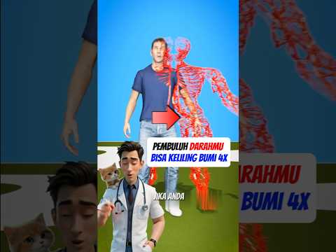 FAKTA GILA! Pembuluh Darah Kita Bisa Keliling Bumi 4x?! 😱🌍🩸#shorts
